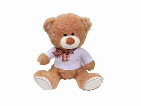 TEDDYWITHSHIRT